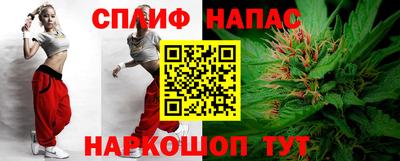 сатива Кандалакша