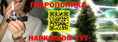 сатива Кандалакша