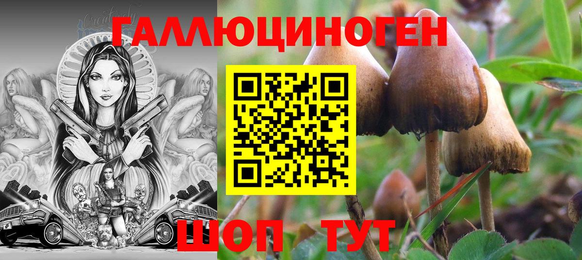 Псилоцибиновые грибы Cubensis Кувандык