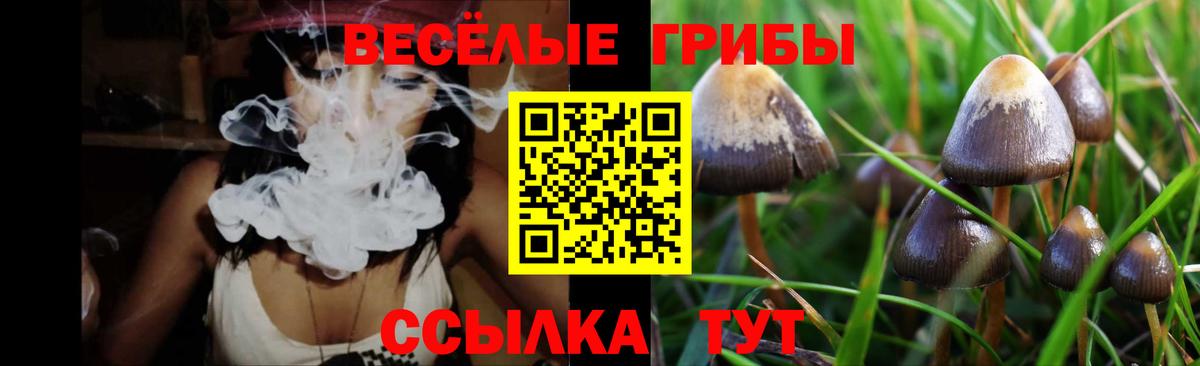 Галлюциногенные грибы MAGIC MUSHROOMS  Вход с VPN  Кувандык  Галлюциногенные грибы Psilocybe 